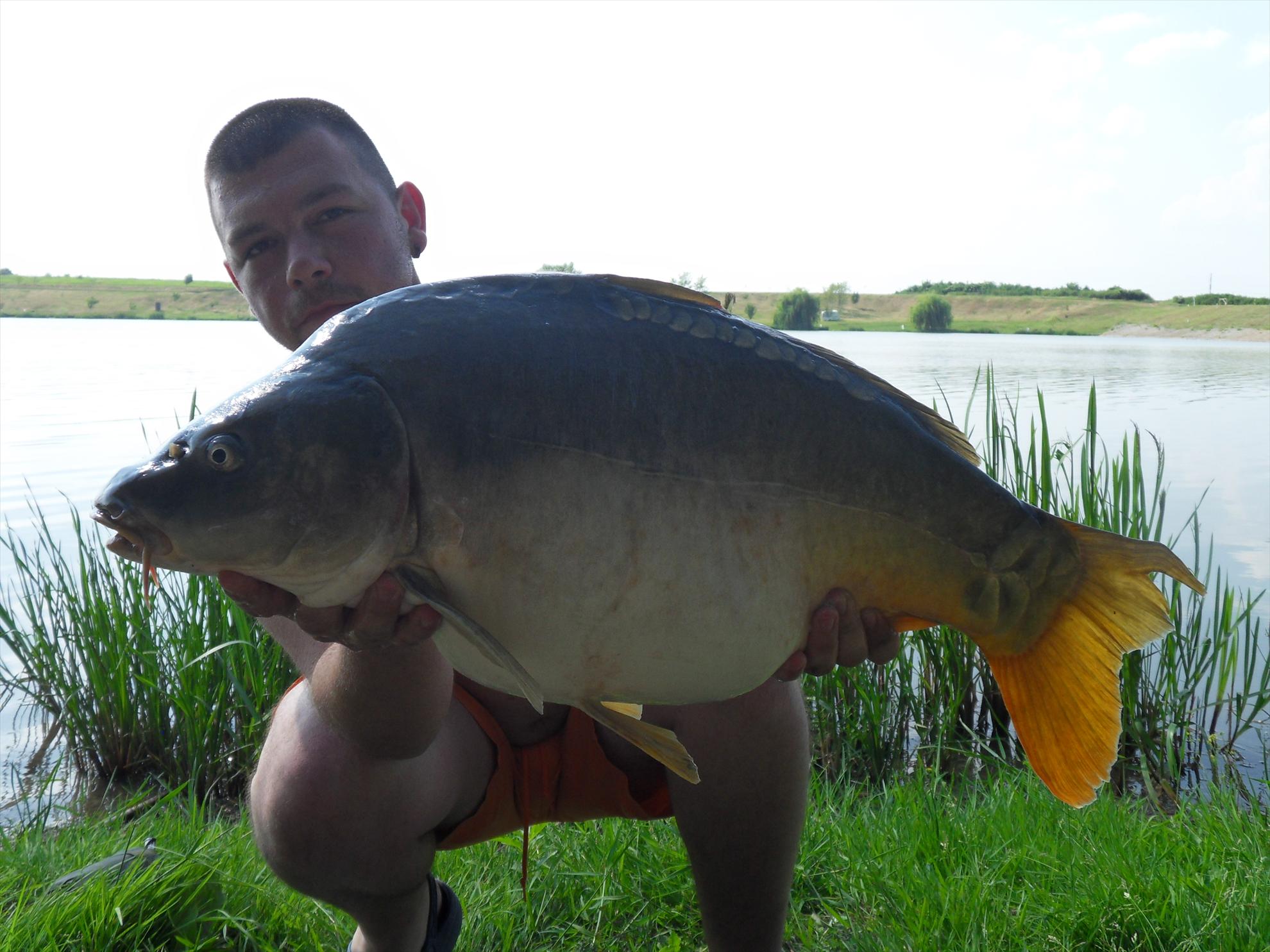 Cetariu 2011 - cetariu2011-034.JPG